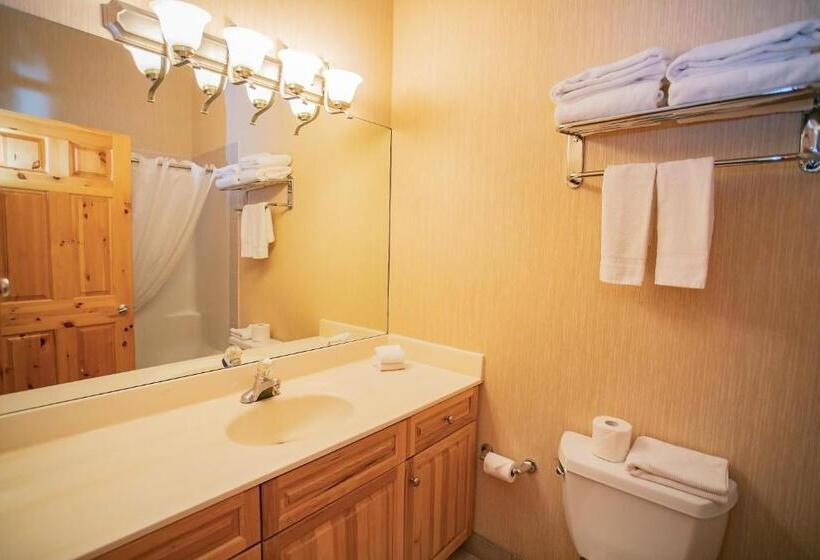 Отель Banff National Park Wood Lodge