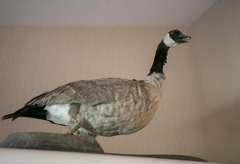 Отель Banff National Park Wood Lodge