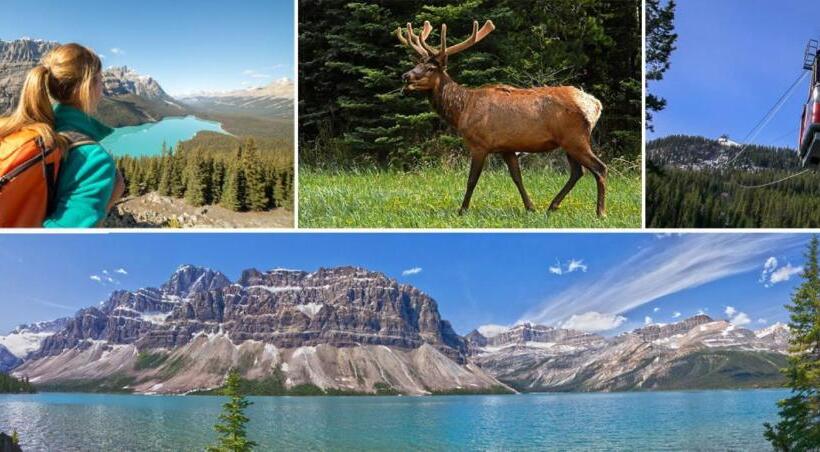 Отель Banff National Park Wood Lodge