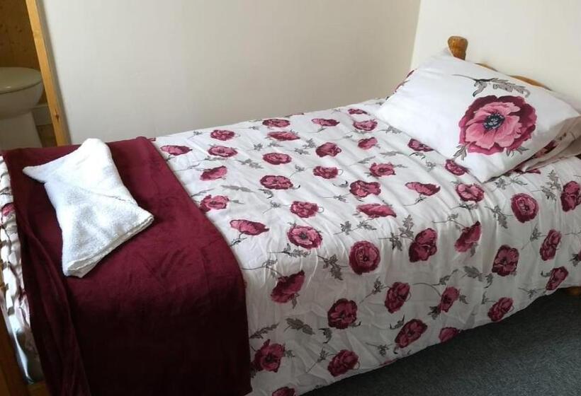 酒店 Lennard House