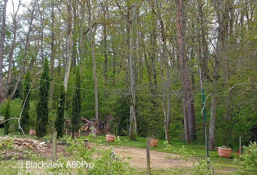 La Sablonnière De Rochefort