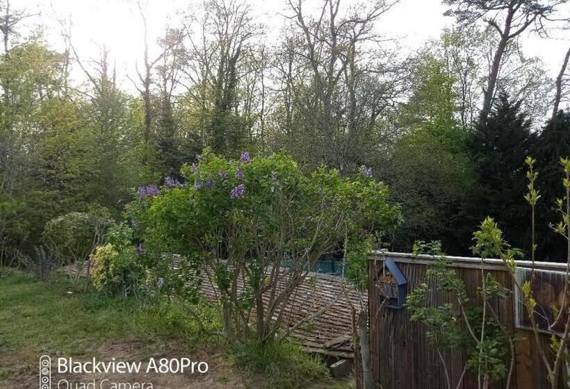 La Sablonnière De Rochefort