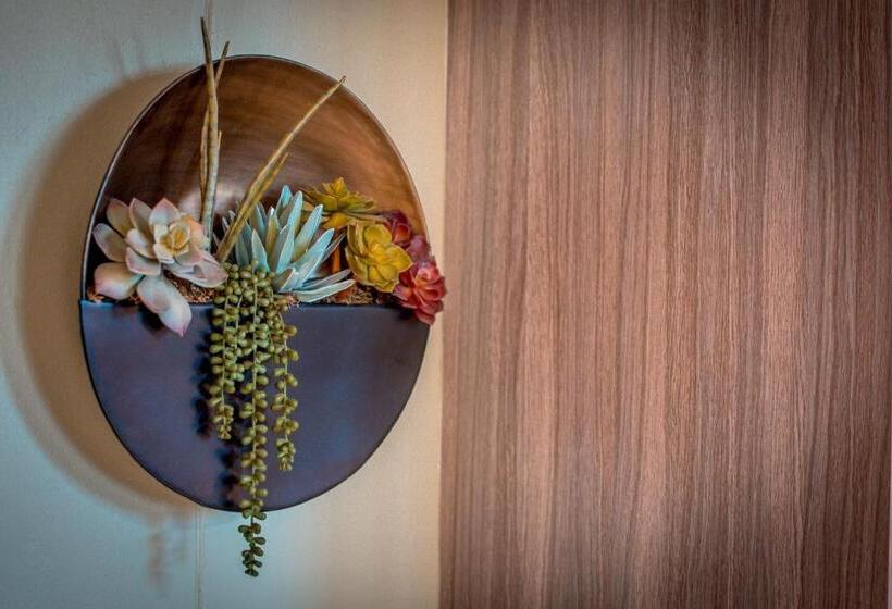 Meerkat Manor Self Catering & Accommodation Windhoek