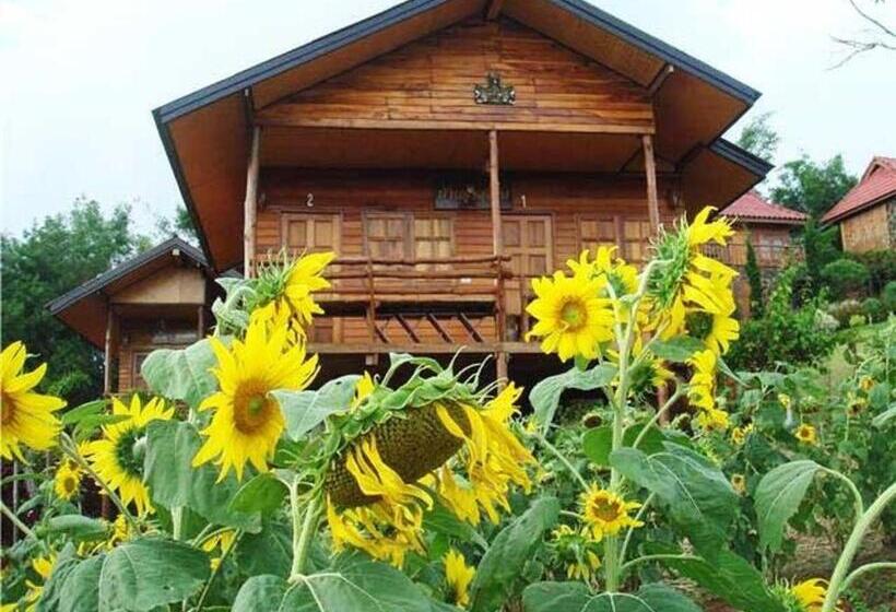 بنسيون ภูน้ำทิพย์ รีสอร์ท