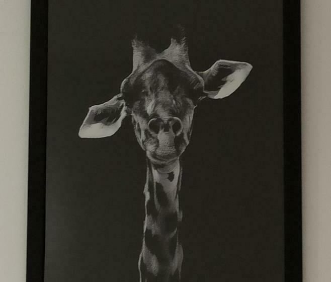 膳宿费 A 4 Min Du Zoo De Beauval La Maison à Partager Ch1