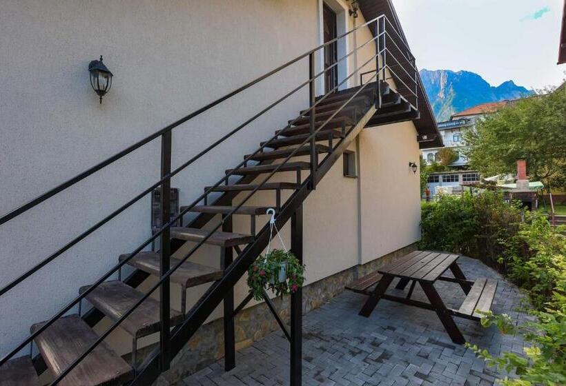 פנסיון Casa Andy