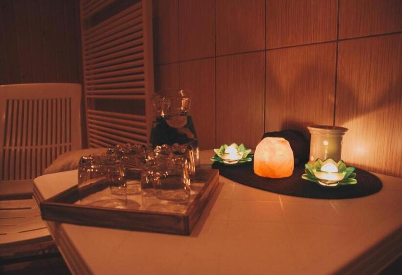 膳宿费 Penzion Sehnoutkovi