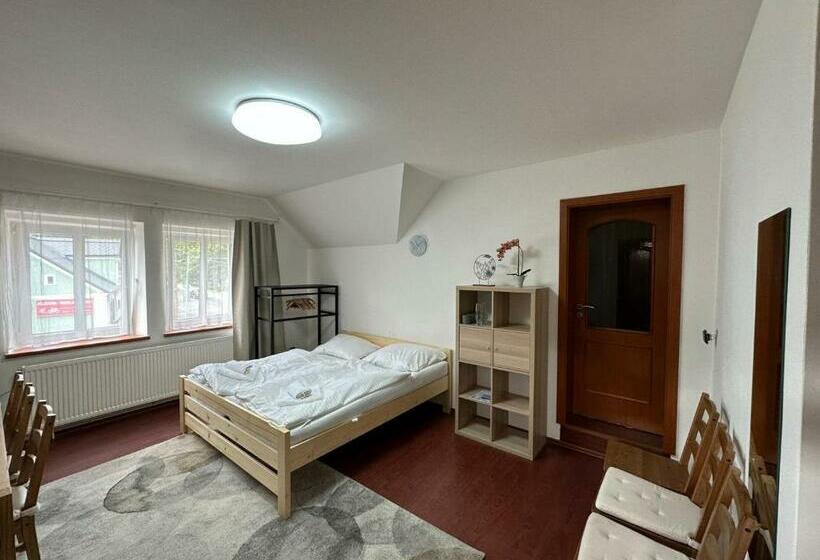 بنسيون Penzion U Kovárny