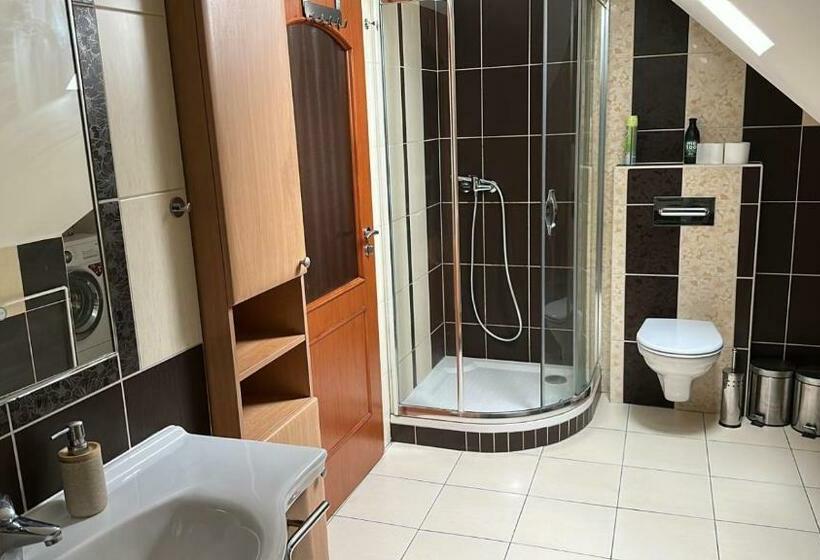 بنسيون Penzion U Kovárny