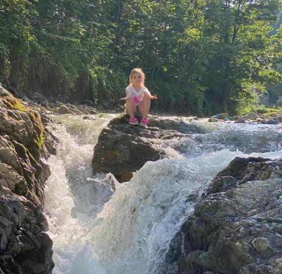 Pensiunea Casa Domniței Sucevița