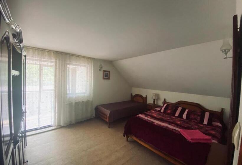 Pensiunea Casa Domniței Sucevița