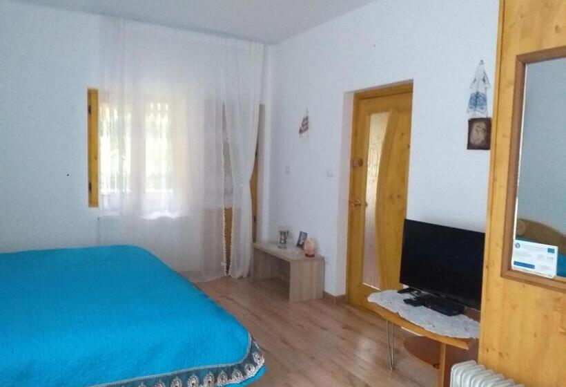 Pensiunea Gură De Rai, Pojorâta