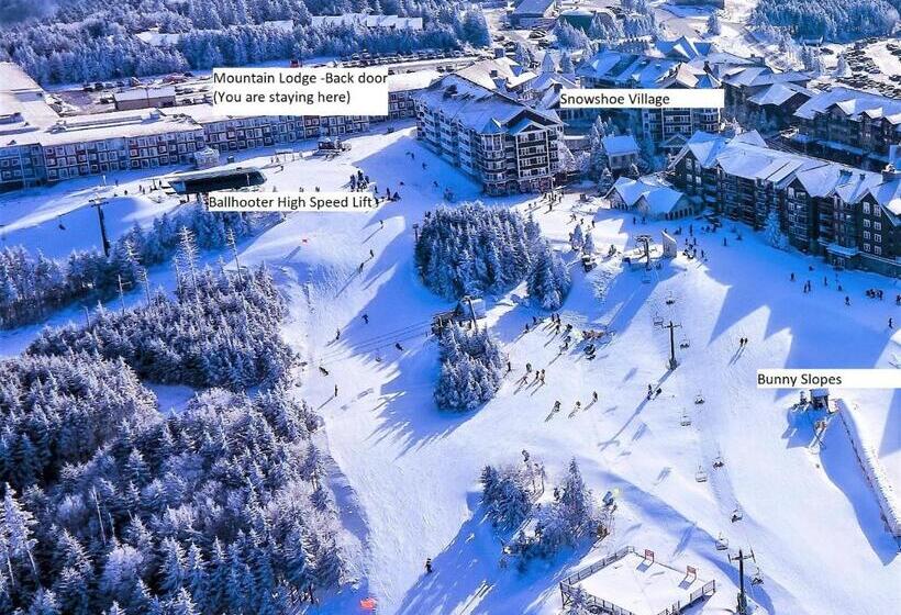 Stroll To Slopes, Village Area, Ski In Out Mtlodge 210