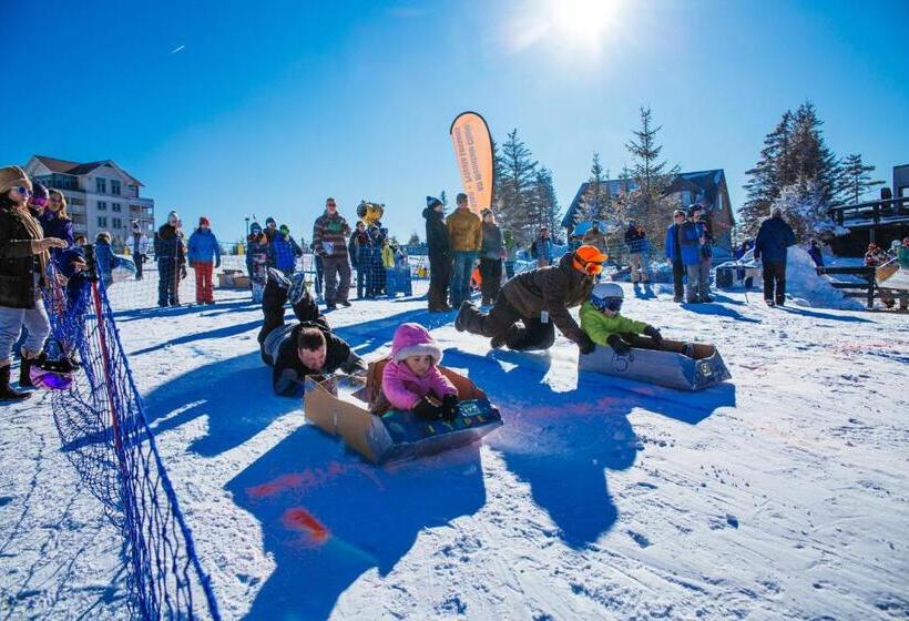 Stroll To Slopes, Village Area, Ski In Out Mtlodge 210