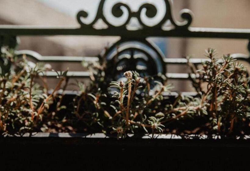 Studio Refait à Neuf Cœur D’uzès