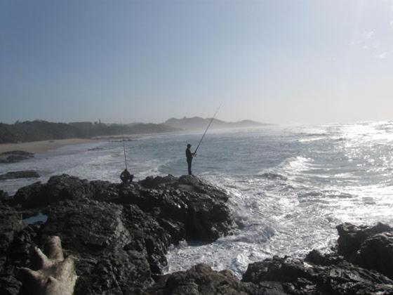 Utopia In Palm Beach