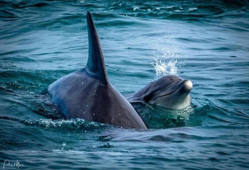 Utopia In Palm Beach