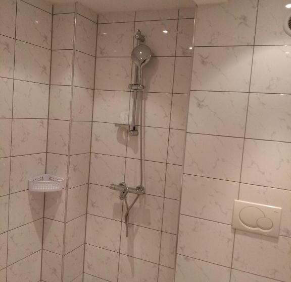 Auberge Hôtelière Weißer Schwan белият лебед