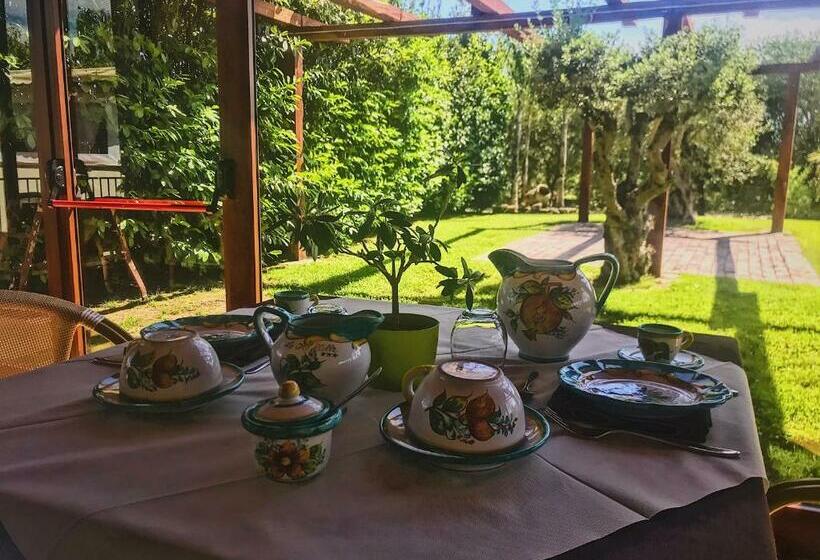 住宿加早餐  Agriturismo Le Tre Stelle