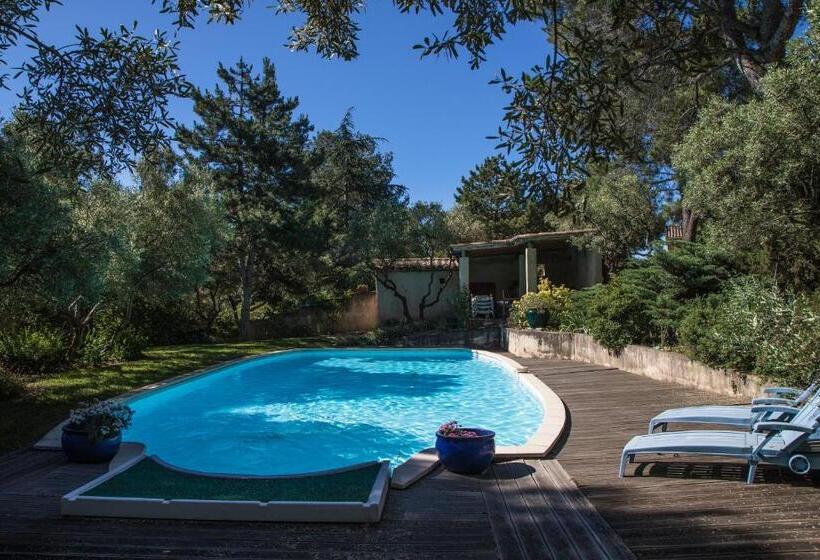 مبيت وإفطار Chambre D Hôte Avignon