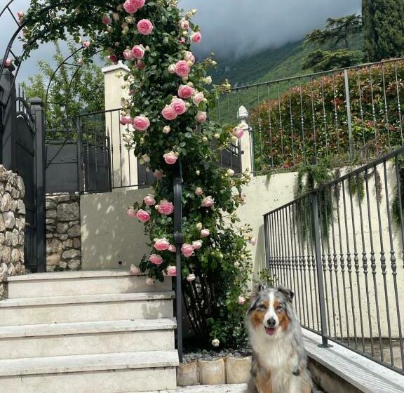 민박 Corte Caiar Bed&breakfast