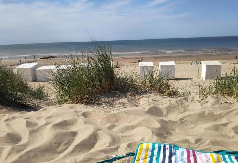 Blutsyde Promenade Encanto