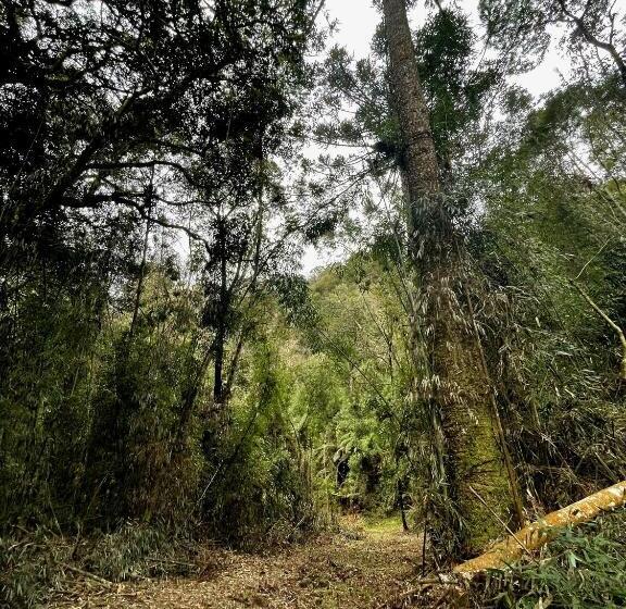 Chalé Romântico Com Banheira De Hidromassagem E Lareira