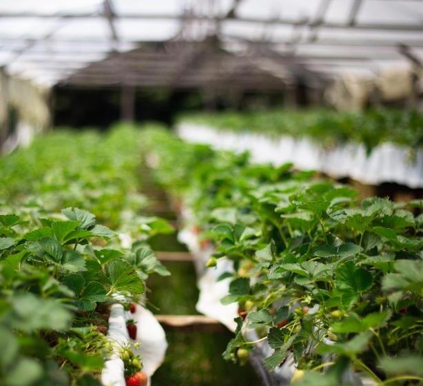 Chalé Romântico Com Banheira De Hidromassagem E Lareira