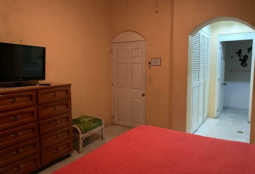 Hab Planta Baja Hotel Tsoro 2 Adultos 1 Menor Ixtapa Wifi Gratis