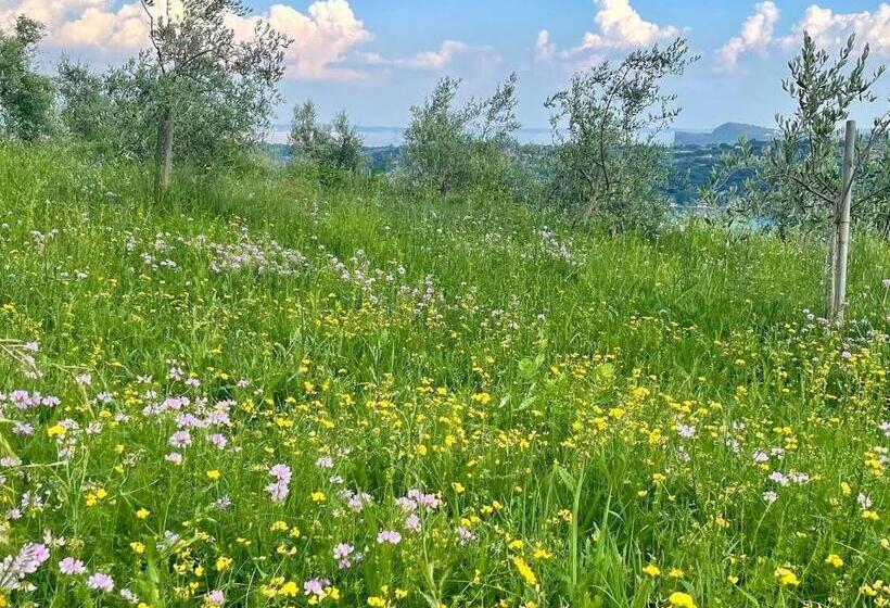 فندق Agriturismo Valsiniga