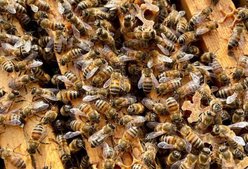 فندق Agriturismo Valsiniga