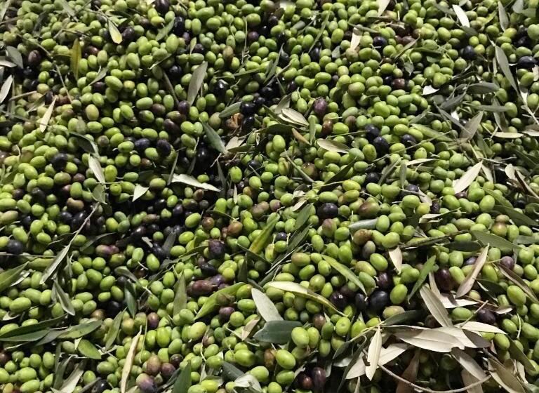 فندق Agriturismo Valsiniga