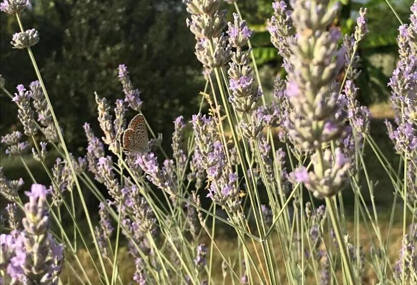 فندق Agriturismo Valsiniga