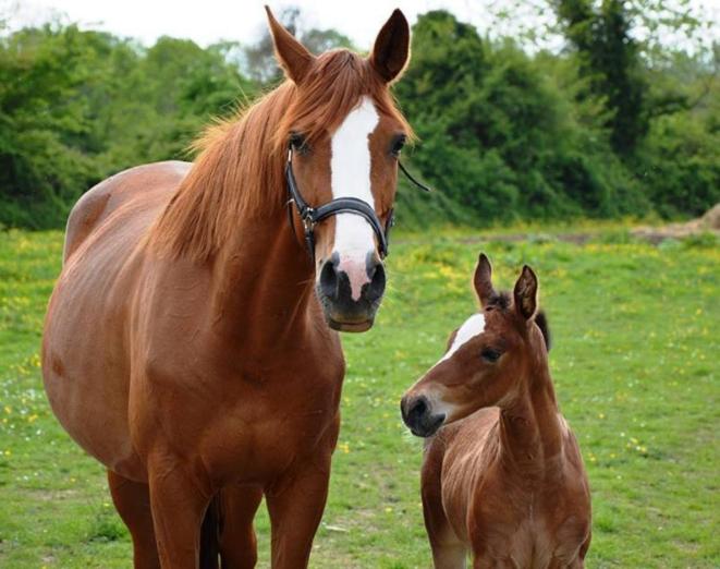 Jolie Maison Proche Des Commerces Et De La Plage