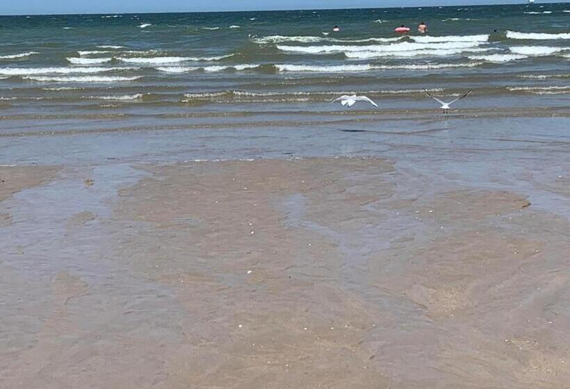 Jolie Maison Proche Des Commerces Et De La Plage