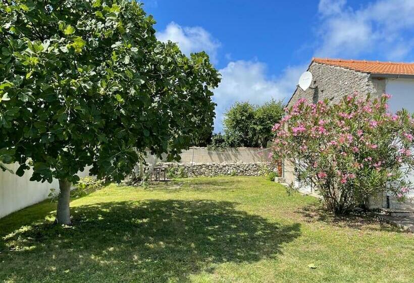 Les Lauriers N°3   Soleil Et Repos