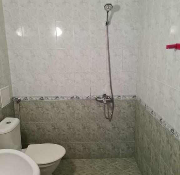 פנסיון алми Almi