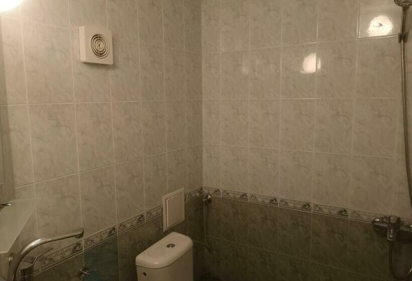 פנסיון алми Almi