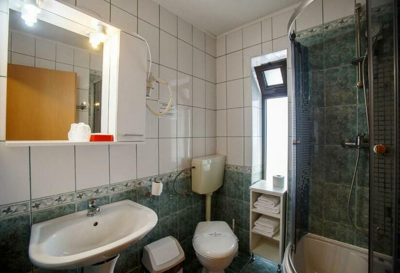 بنسيون Domeniul Dracula Daneș