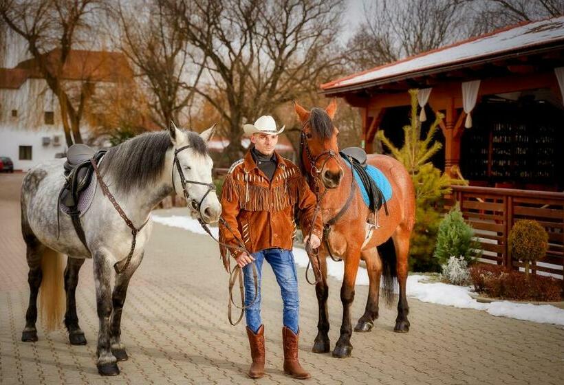 بنسيون Domeniul Dracula Daneș