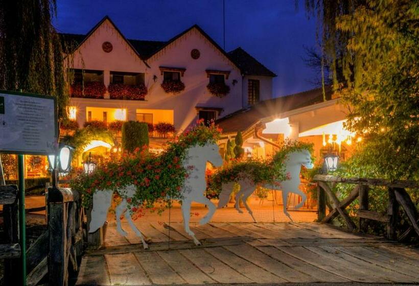 بنسيون Domeniul Dracula Daneș