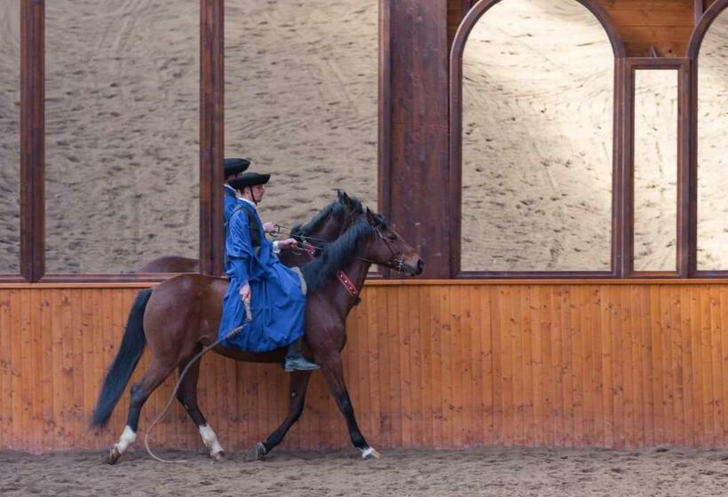 بنسيون Domeniul Dracula Daneș