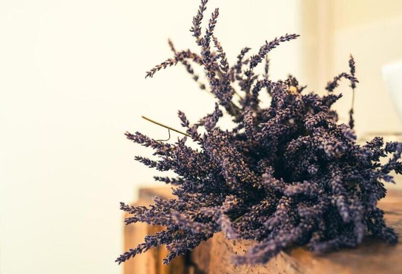 פנסיון Maison Léonard Du Ventoux