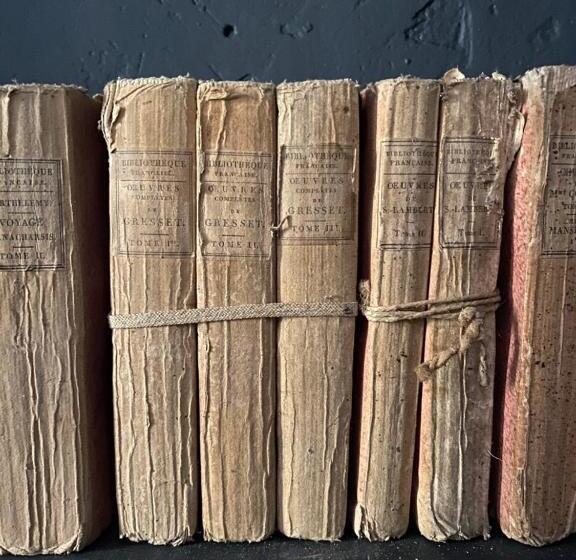 פנסיון Maison Léonard Du Ventoux