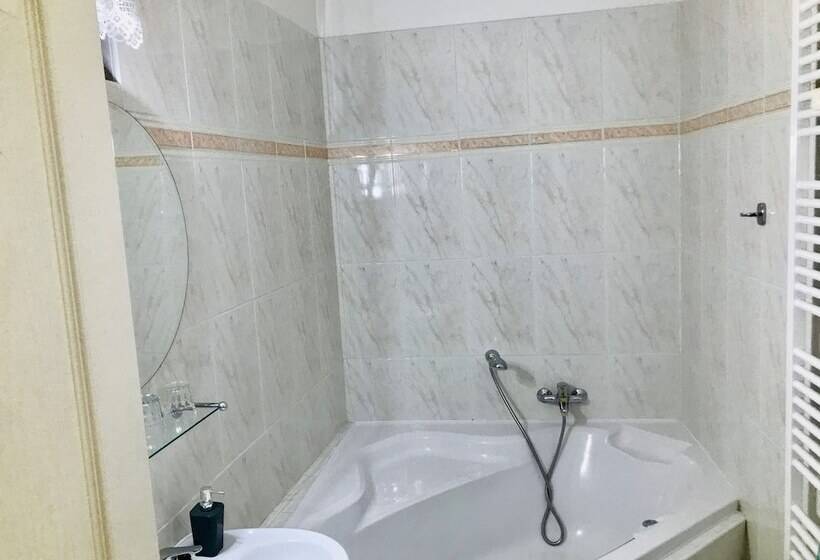 膳宿费 Penzion Jany