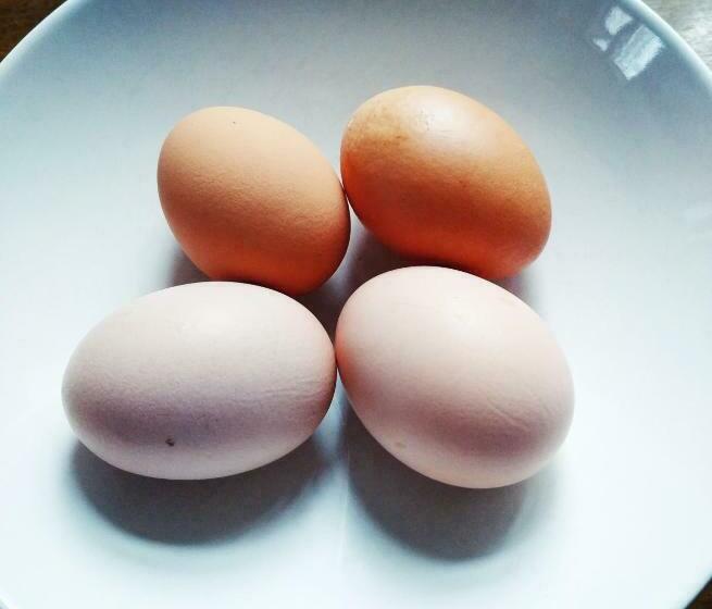 פנסיון Penzion U Lucerny S Malou Farmičkou