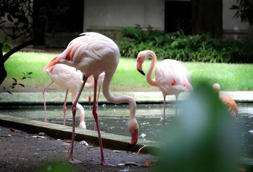 پانسیون Vico Fashion District