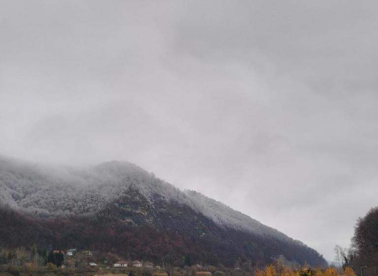 펜션 Vila Poienița Căciulata