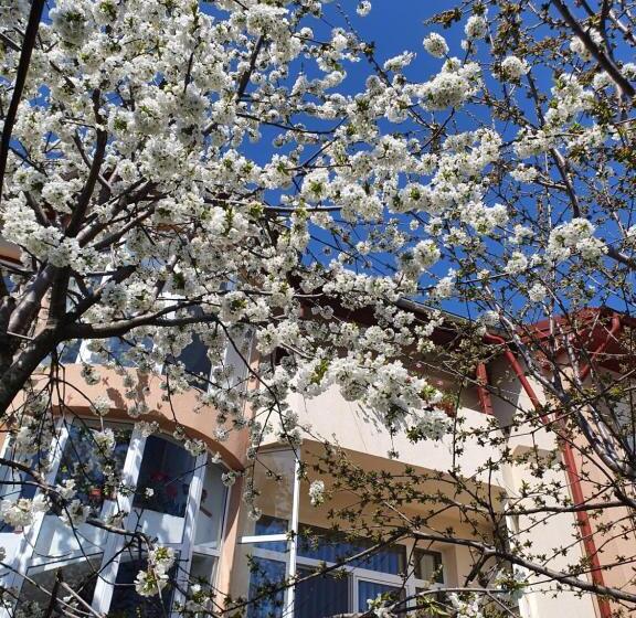 Pensiunea Cireșul Alb