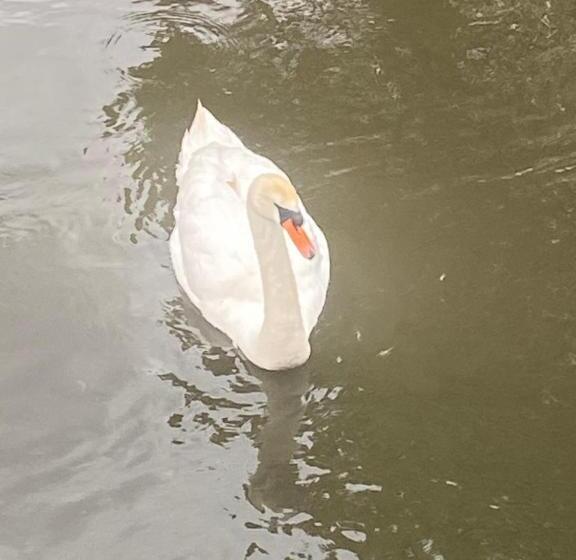 Riverbank Cottage Lake District Double Balcony